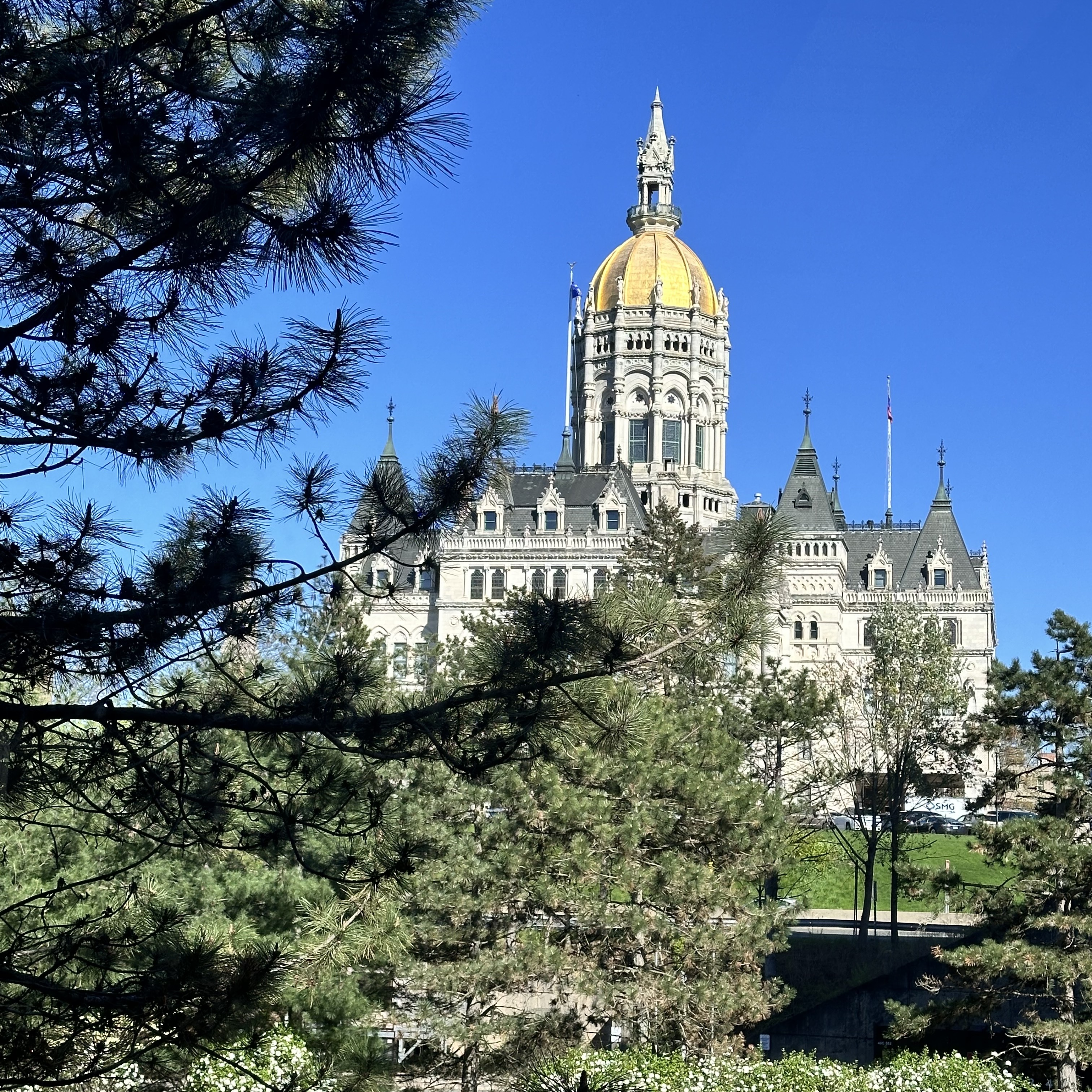 Endometriosis Awareness: Legislative Breakfast and Press Conference
